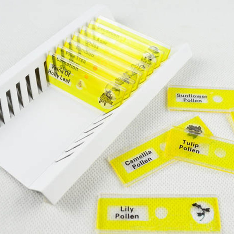 STEM Prepared Microscope Slide Set – Scientific Discovery & Observation Skills (Ages 6–8+ Years)