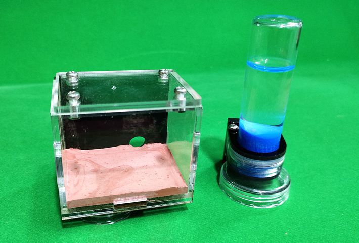 STEM Ant Farm Observation Kit – Nature Discovery & Scientific Thinking (Ages 5–8+ Years)