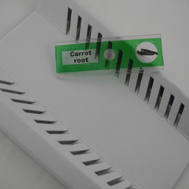 STEM Prepared Microscope Slide Set – Scientific Discovery & Observation Skills (Ages 6–8+ Years)