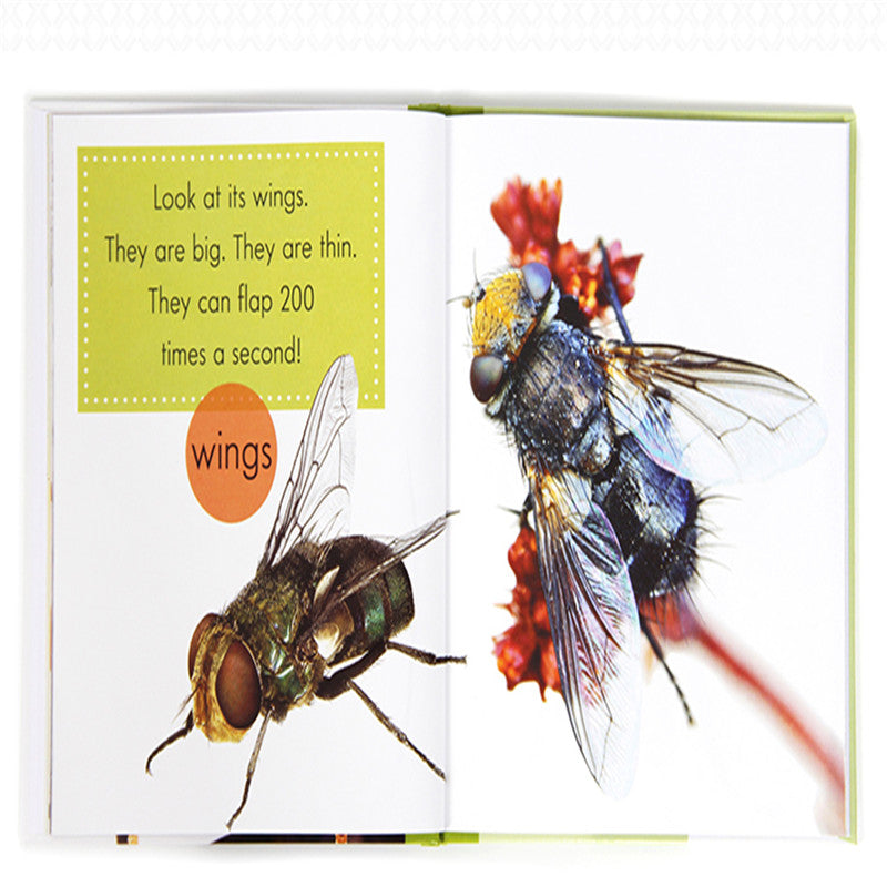 Early Readers Non-Fiction Discovery Book Set – Literacy & Knowledge Development (Ages 5+ Years)