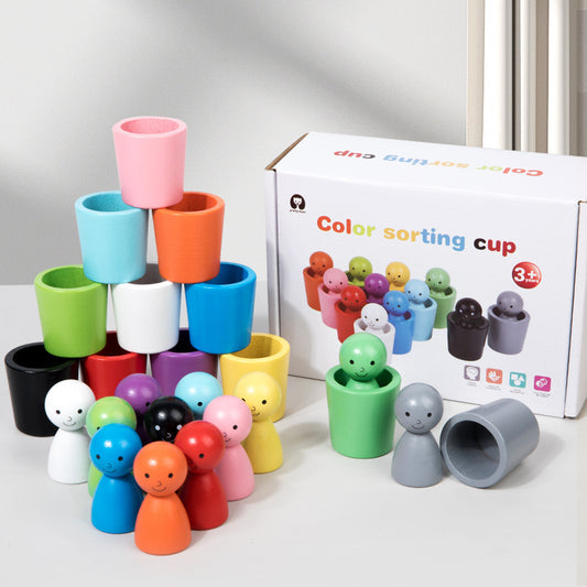 Montessori Colour Sorting & Strategy Cup Game (Ages 3–4)