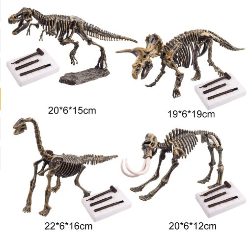 STEM Dinosaur Excavation Kit – T-Rex Skeleton Discovery Set (Ages 5–8)