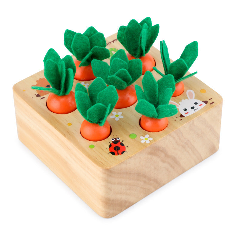 Garden Harvest Role Play Toy – Imagination, Language &  Creative Thinking Development (Ages 3–6)