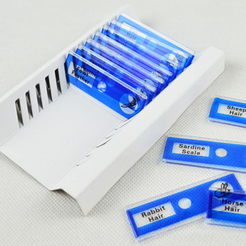 STEM Prepared Microscope Slide Set – Scientific Discovery & Observation Skills (Ages 6–8+ Years)