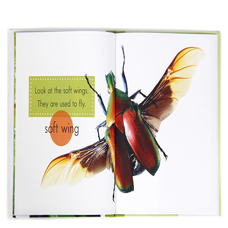 Early Readers Non-Fiction Discovery Book Set – Literacy & Knowledge Development (Ages 5+ Years)