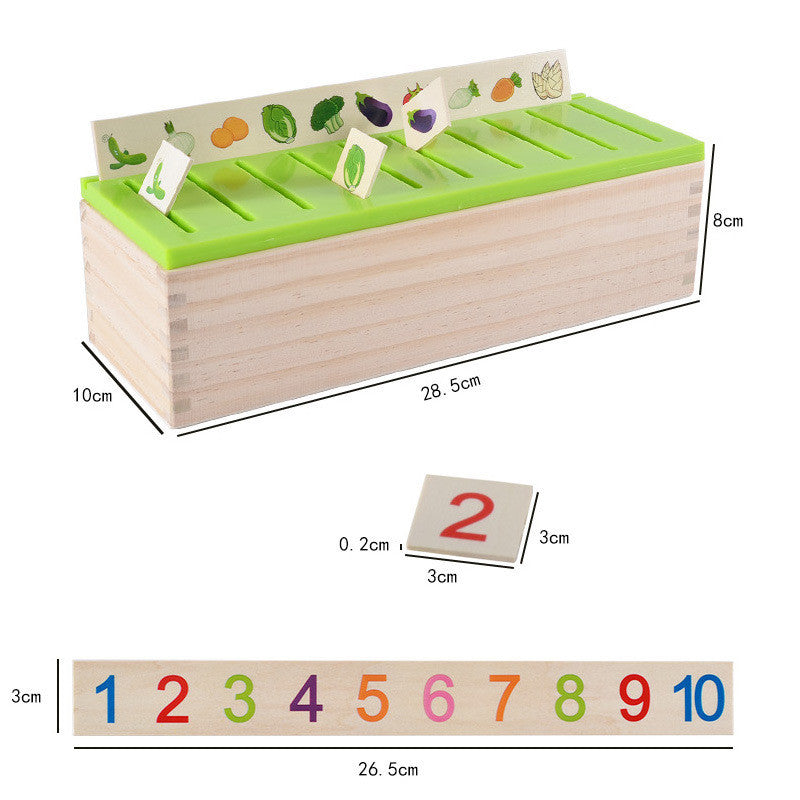 Montessori Sorting & Matching Logic Box – Early Numeracy, Literacy & Cognitive Development (Ages 4–6+)