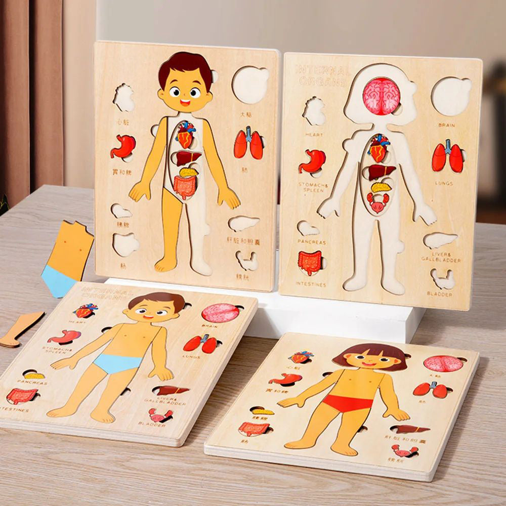 Human Body Anatomy Puzzle – STEM Science Discovery & Early Learning (Ages 2–4+)