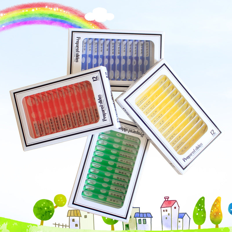 STEM Prepared Microscope Slide Set – Scientific Discovery & Observation Skills (Ages 6–8+ Years)