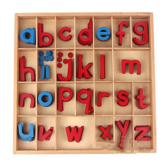Montessori Alphabet & Word Building Set – Early Literacy & Language Development (Ages 4–6+)