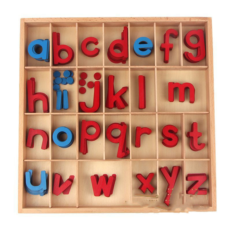 Montessori Alphabet & Word Building Set – Early Literacy & Language Development (Ages 4–6+)