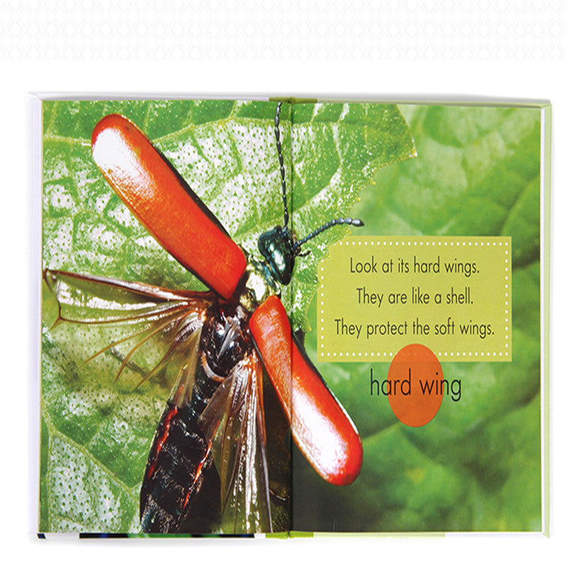 Early Readers Non-Fiction Discovery Book Set – Literacy & Knowledge Development (Ages 5+ Years)