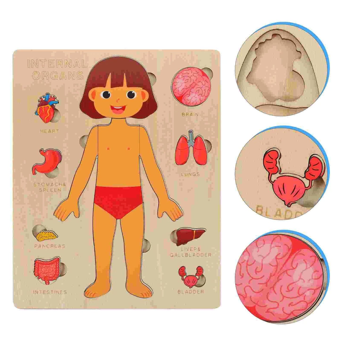 Human Body Anatomy Puzzle – STEM Science Discovery & Early Learning (Ages 2–4+)