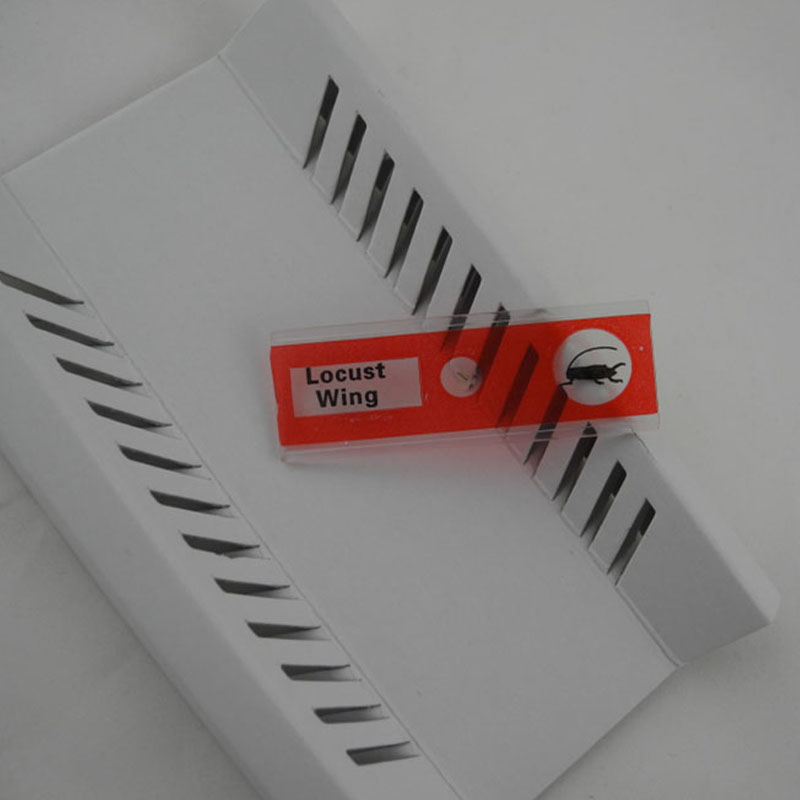 STEM Prepared Microscope Slide Set – Scientific Discovery & Observation Skills (Ages 6–8+ Years)