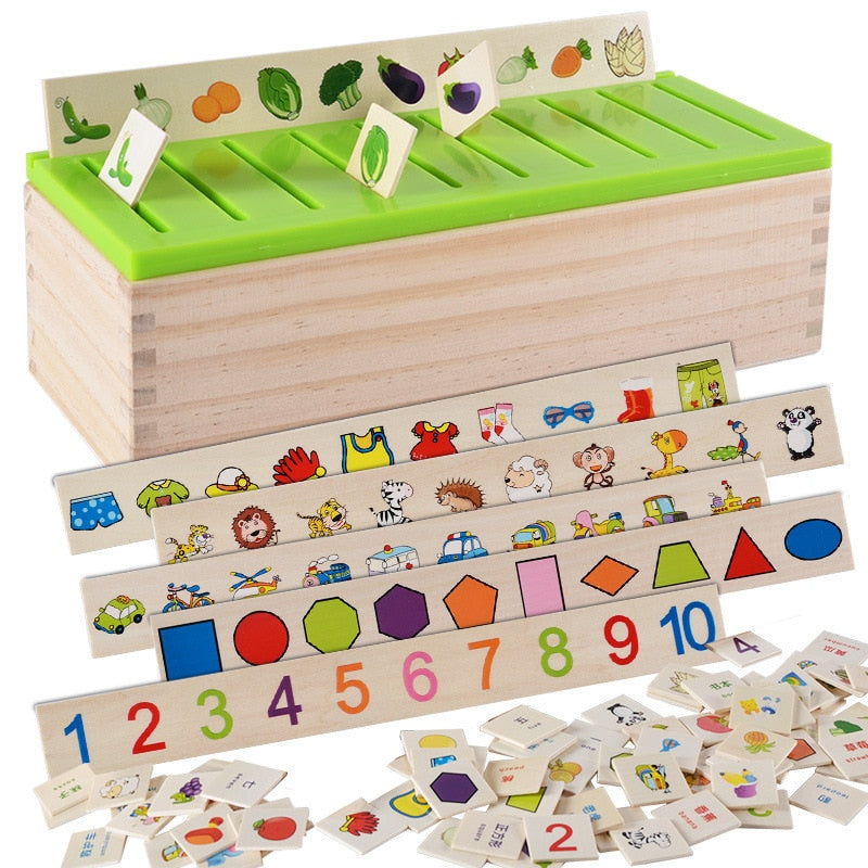 Montessori Sorting & Matching Logic Box – Early Numeracy, Literacy & Cognitive Development (Ages 4–6+)