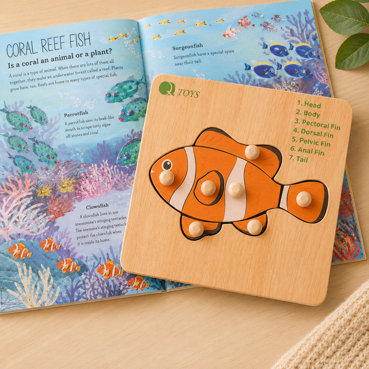 Montessori Fish Knob Puzzle