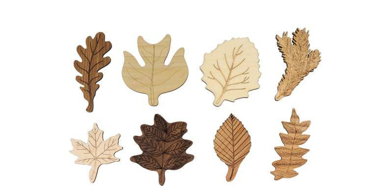 Montessori Leaf Identification Puzzle – Nature Science Discovery (Ages 2–4+ Years)