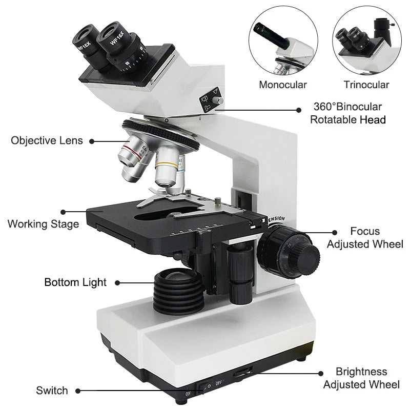 STEM Discovery Microscope – Science Exploration & Critical Thinking (Ages 6–8+ Years)