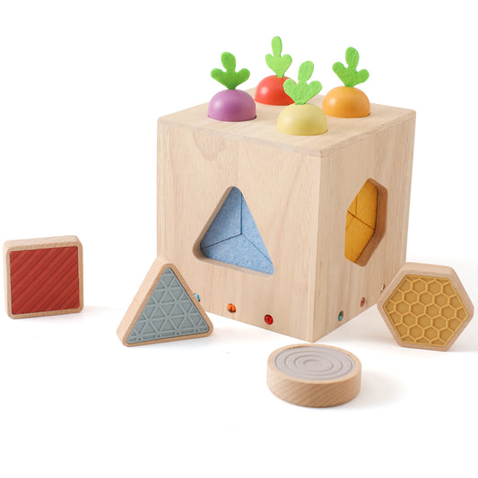 Montessori Wooden Sensory Carrot Box – Shape Sorting & Fine Motor Development (Ages 2–4 Years)