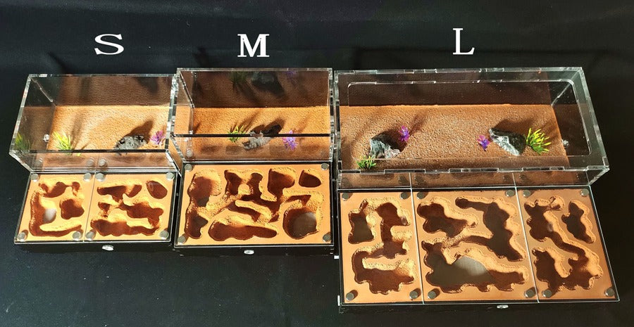 STEM Ant Farm Observation Kit – Nature Discovery & Scientific Thinking (Ages 5–8+ Years)