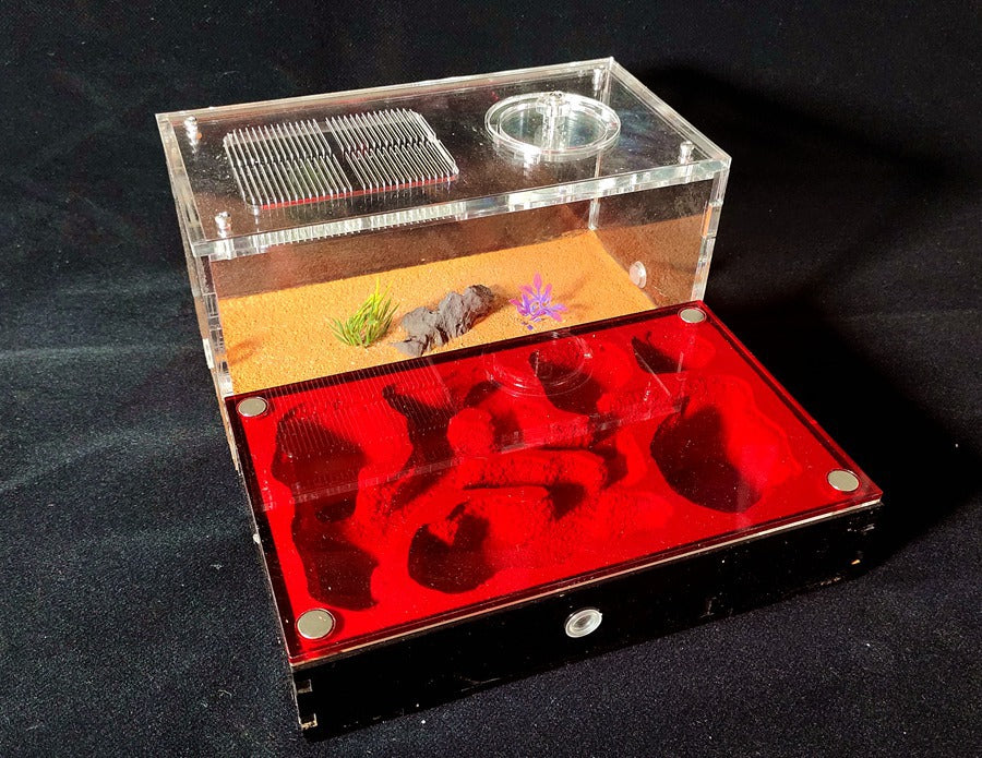 STEM Ant Farm Observation Kit – Nature Discovery & Scientific Thinking (Ages 5–8+ Years)