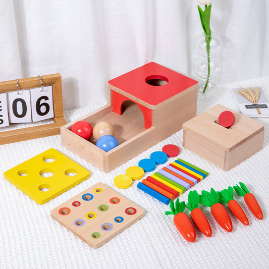 Montessori Fine Motor & Cognitive Activity Set – Sensory Sorting, Coordination & Early Learning (Ages 3–6)